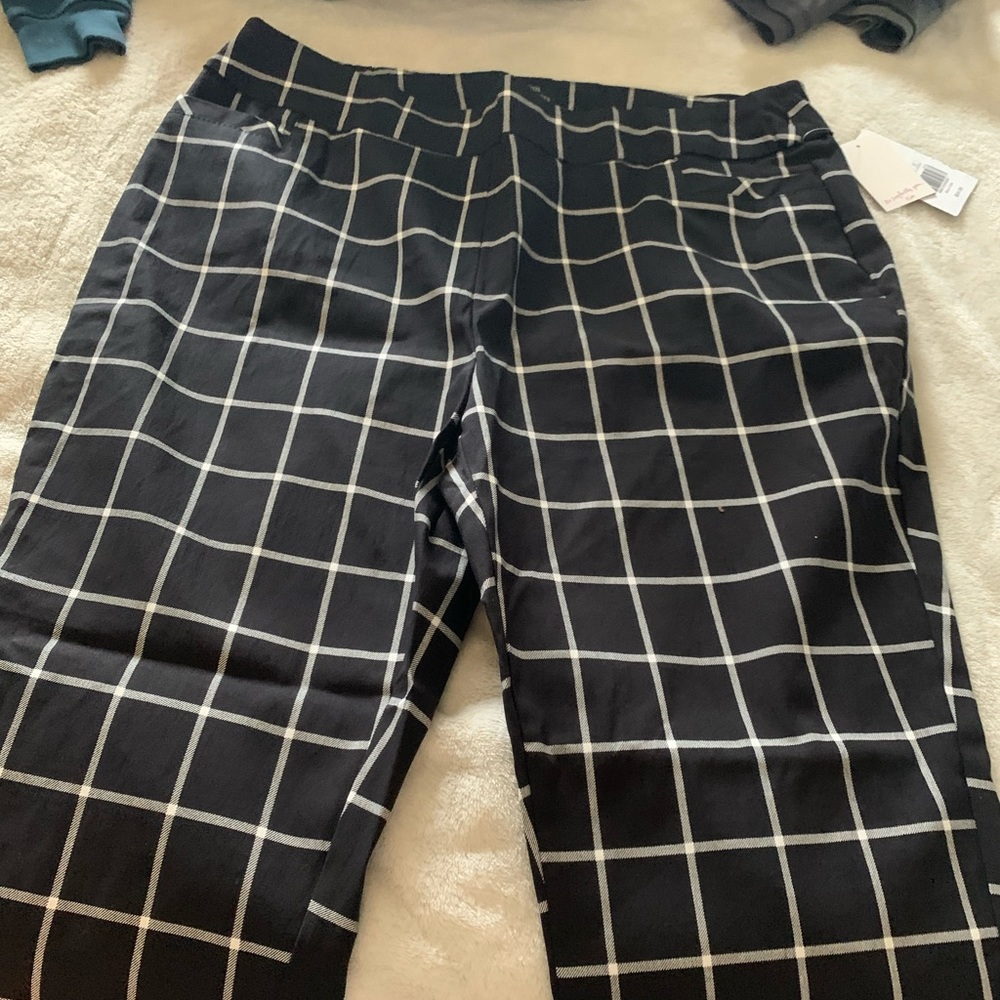 Kim Rogers Dress Pants